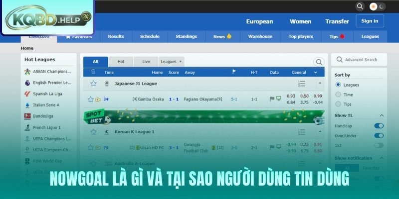 Nowgoal và mô hình 6IN1 phủ sóng hơn 1.500 giải đấu toàn cầu